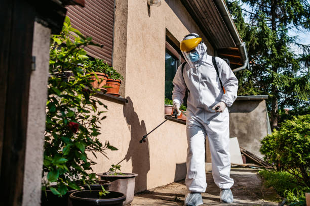 Reliable Glasgow, VA Pest Control Solutions