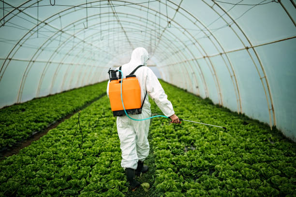 Best Local Pest Control Services  in Glasgow, VA
