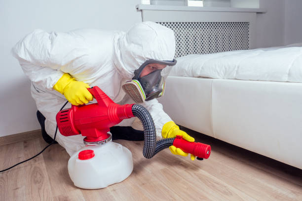 Best Affordable Pest Control Services  in Glasgow, VA