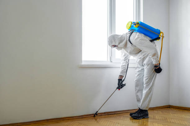 Pest Control Cost in Glasgow, VA