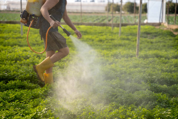 Best Commercial Pest Control Services  in Glasgow, VA