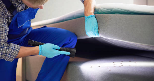 Pest Prevention Services in Glasgow, VA