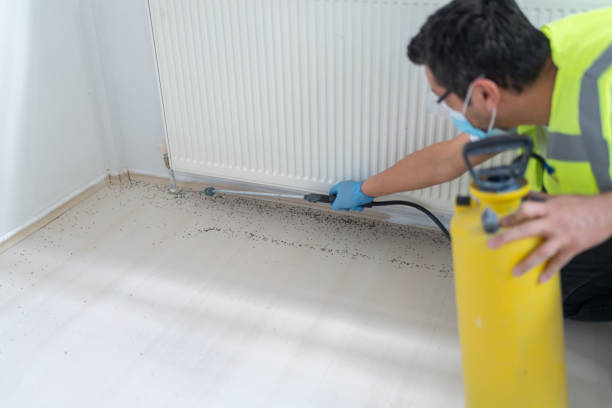 Best Best Pest Control Companies  in Glasgow, VA